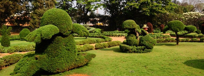 Botanical Gardens, Hyderabad Tourist Attraction
